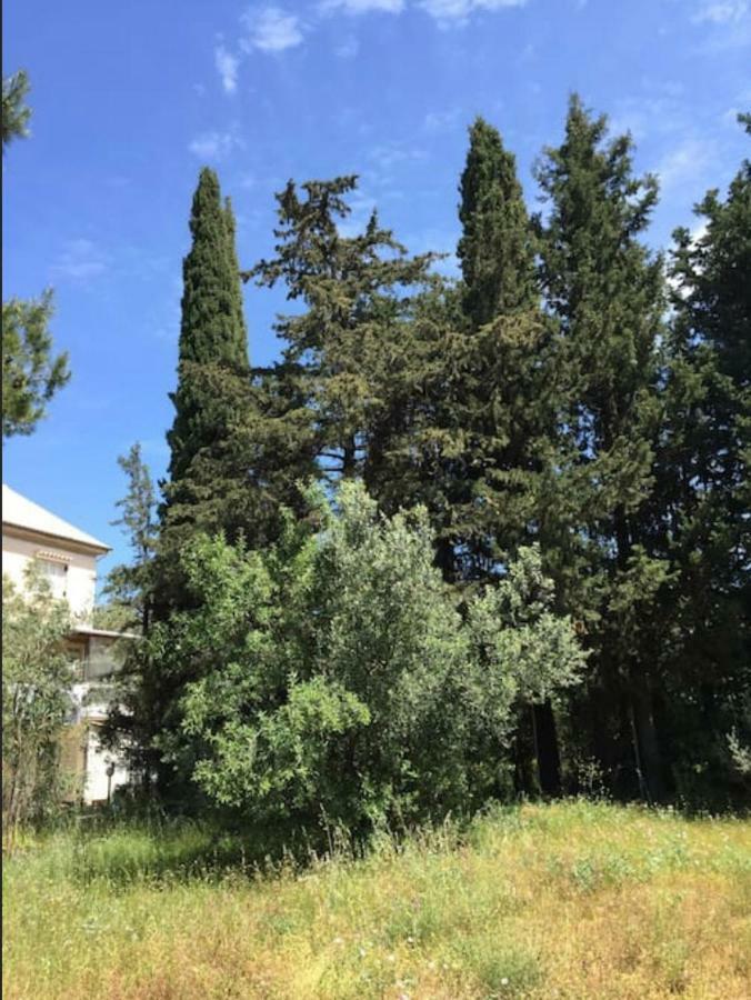 Villa Salomi Lefkada City Luaran gambar